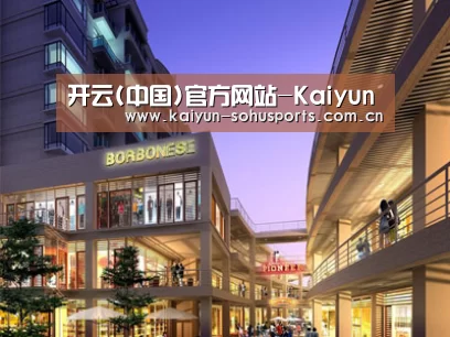 案例展示一(图1)